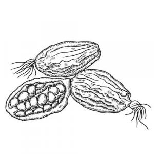 Large image of Cardamon Pure Essential Oil