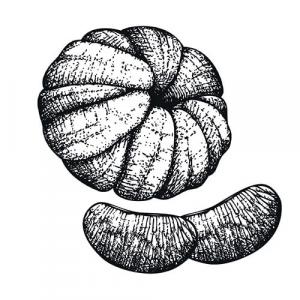 Large image of Mandarin Pure Essential Oil