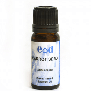 Big image of 10ml CARROT SEED Essential Oil