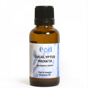 Big image of 30ml EUCALYPTUS RADIATA Essential Oil
