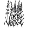 Small image of Lavender Bulgarian Pure Essential Oil