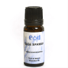 Small image of 10ml SAGE SPANISH Essential Oil